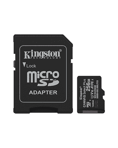 Paměťová karta Kingston 256GB Gen3